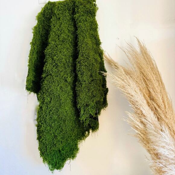 NEW ANTHROPOLOGIE TERRAIN Green Faux Moss Floral Plant Sheet Mat Rug DIY Decor - Picture 15 of 15